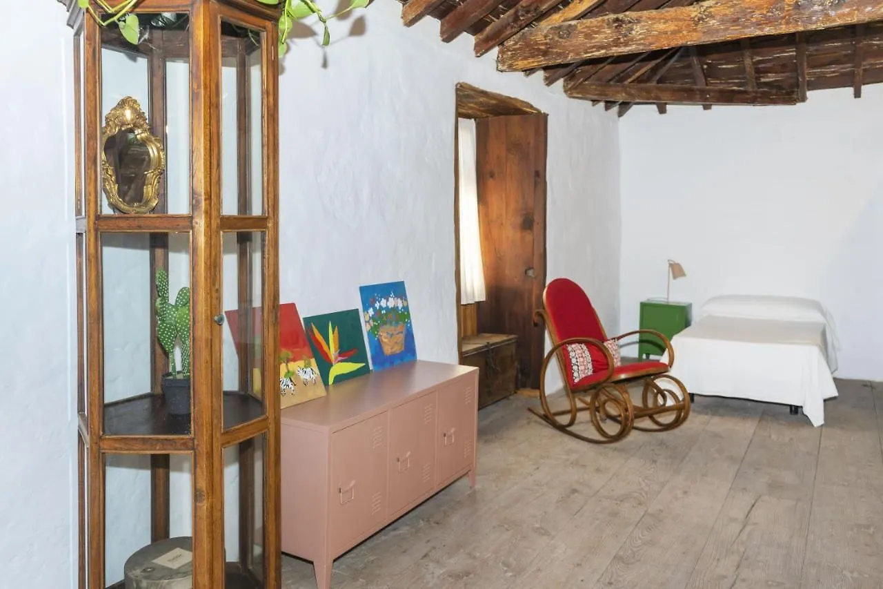 לינה וארוחת בוקר ארונה Cactus Coliving & Coworking