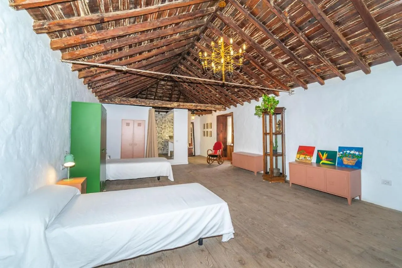 לינה וארוחת בוקר ארונה Cactus Coliving & Coworking ספרד