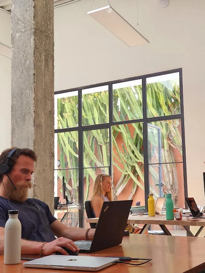 לינה וארוחת בוקר ארונה Cactus Coliving & Coworking
