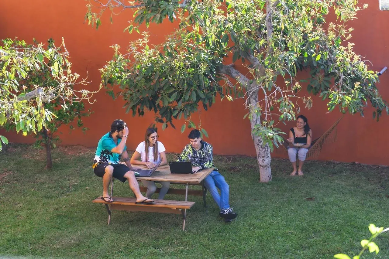 לינה וארוחת בוקר ארונה Cactus Coliving & Coworking