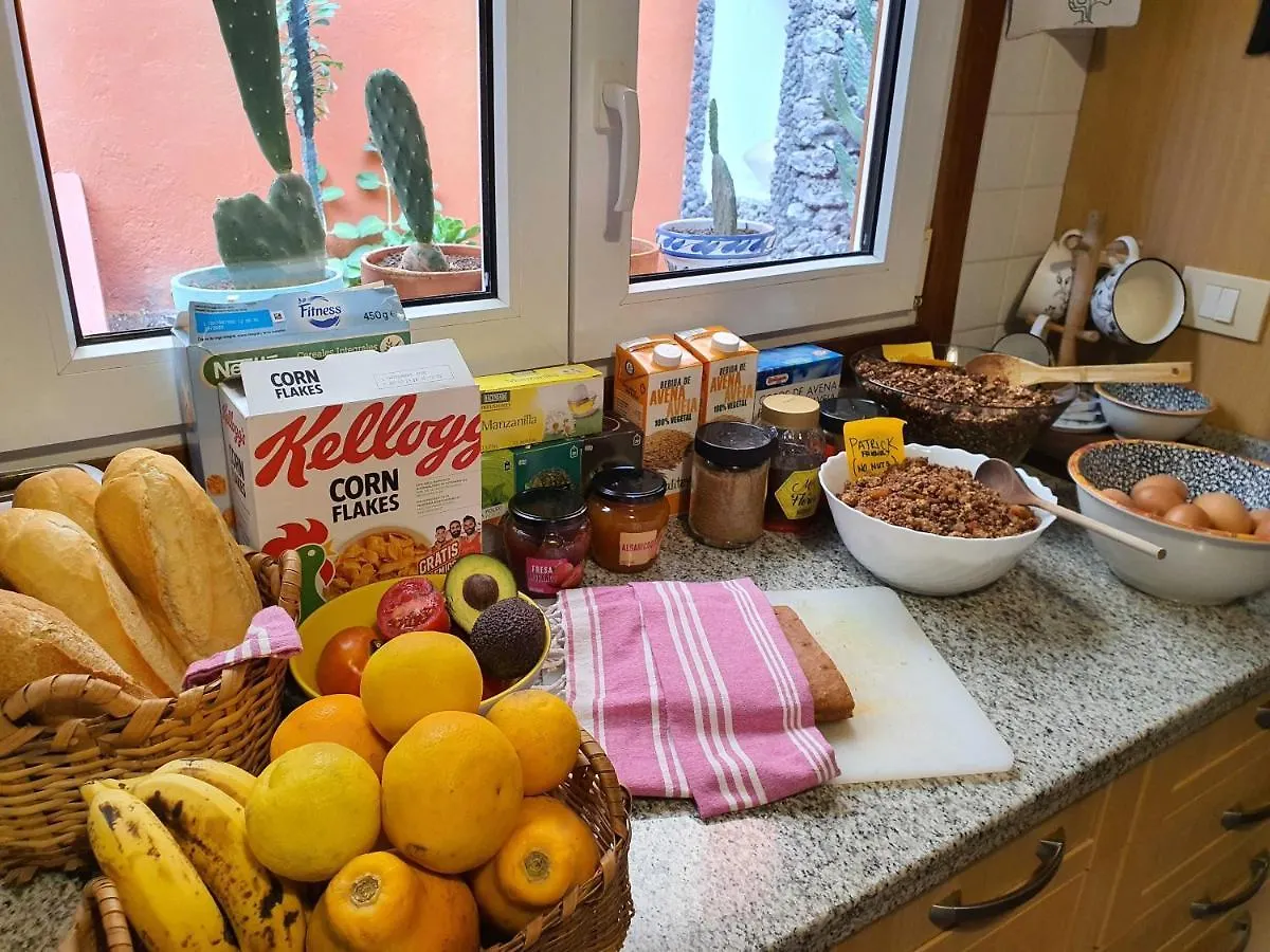 לינה וארוחת בוקר ארונה Cactus Coliving & Coworking
