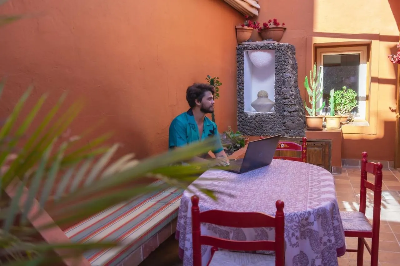 לינה וארוחת בוקר ארונה Cactus Coliving & Coworking